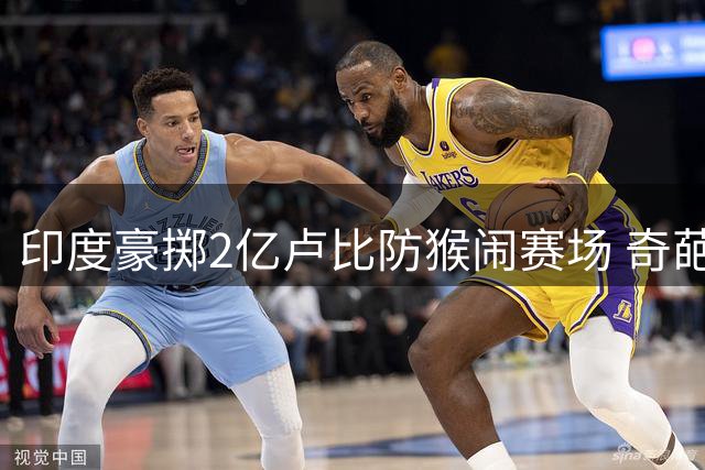 印度豪掷2亿卢比防猴闹赛场 奇葩操作引全球哗然