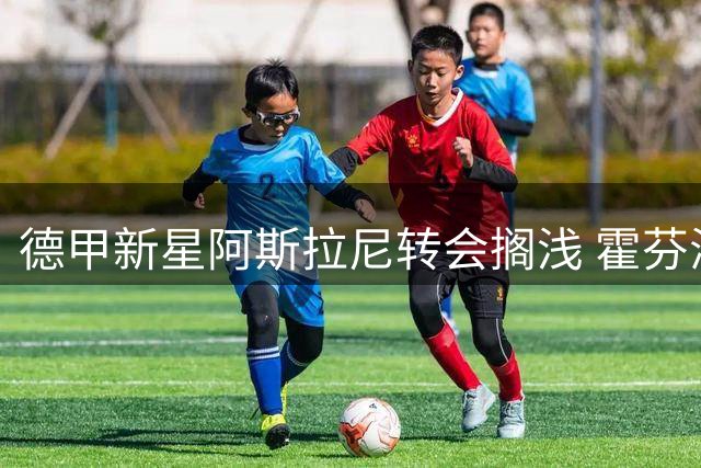 德甲新星阿斯拉尼转会搁浅 霍芬海姆宣布锋线主力留队