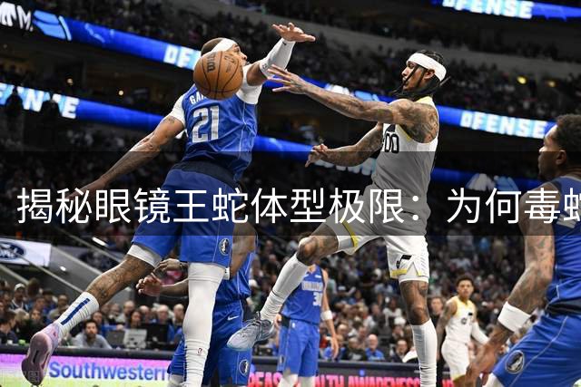 揭秘眼镜王蛇体型极限：为何毒蛇无法突破十米大关？