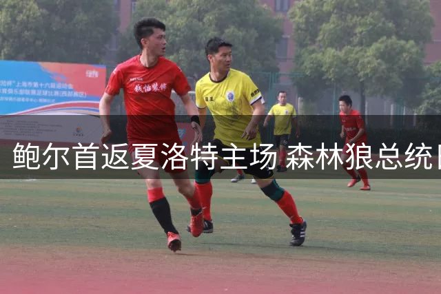 鲍尔首返夏洛特主场 森林狼总统日对战黄蜂
